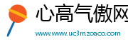心高气傲网