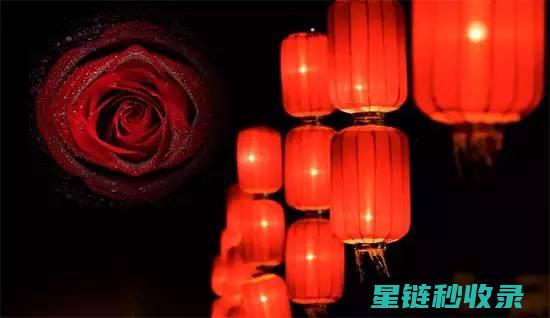 灯光下的诗意是什么