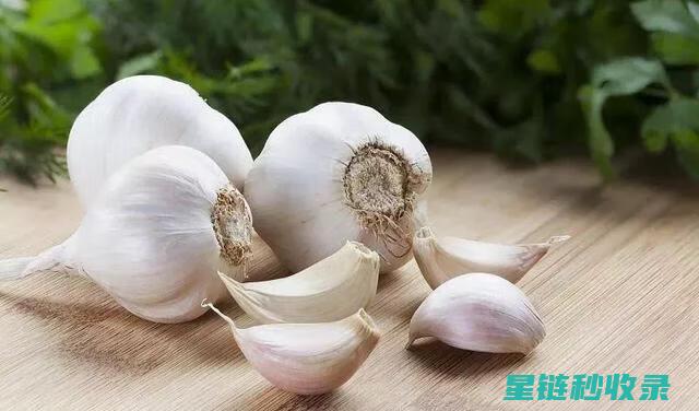 吃完大蒜如何去除口中的异味？ (吃完大蒜如何快速去味)