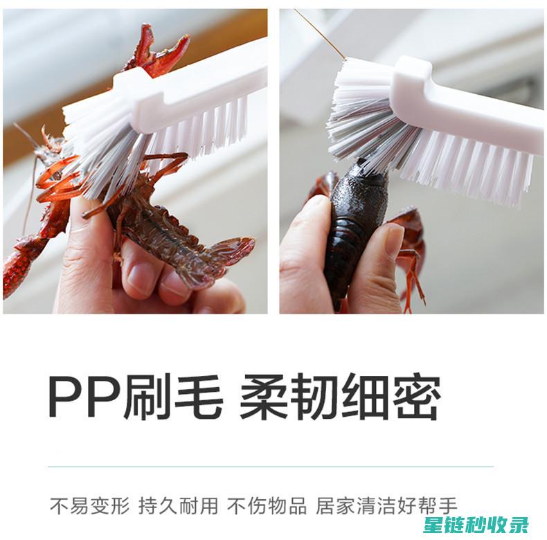 榨汁机清洁：让你的厨房更整洁 (榨汁机清洁消毒流程)