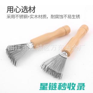 梳子清洁大总结：从基础到进阶的全面回顾 (梳子清洁小妙招)