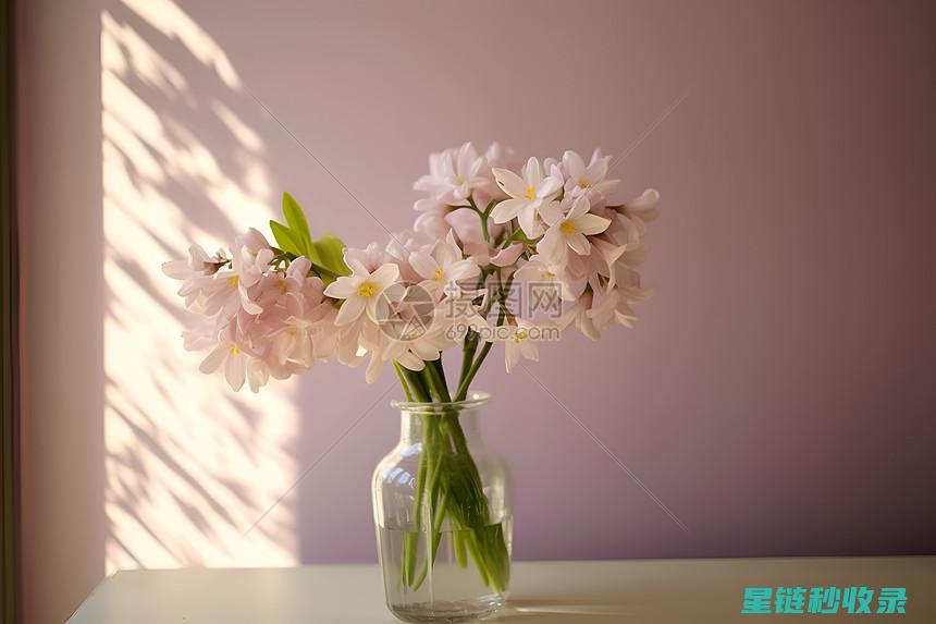 花瓶清洁后的护理要点，确保持久光洁 (花瓶清洁后的颜色变化)