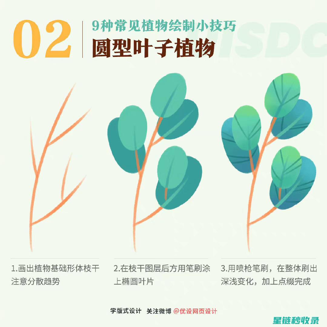如何让植物叶片保持光亮？专业养护建议与实用技巧 (如何让植物叶子变油绿)