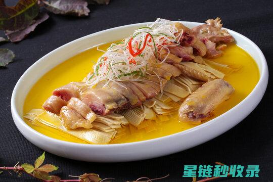 百叶窗除尘：DIY清洁与专业服务的对比 (百叶窗除尘器的安装方法和注意事项)