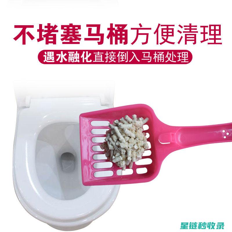 猫砂除臭全攻略：从选择到维护 (猫砂除臭剂怎么用)