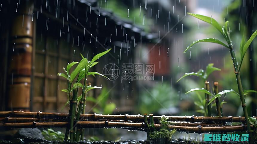 雨刮水自制技巧，清洁效果更佳 (雨刮水自制技巧视频)