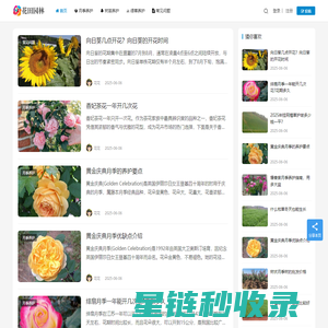 月季苗木批发基地_园林绿化苗木价格_花田园林